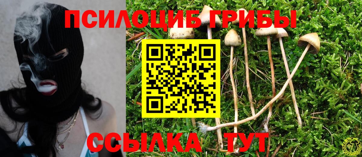 Галлюциногенные грибы Cubensis Ступино